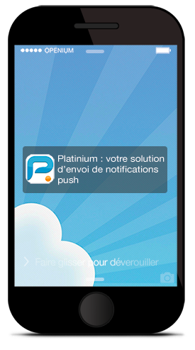 Connexion à platinium